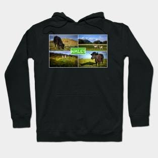 Wales Collage#1 Hoodie